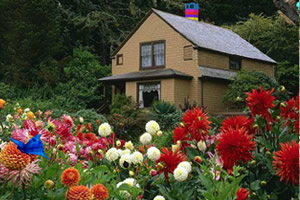 逃出漂亮的花园