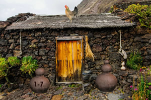 逃出中世纪村庄