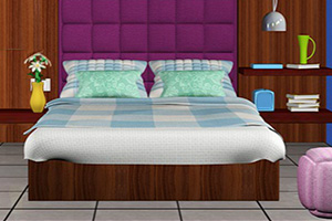 詹尼的卧室逃脱