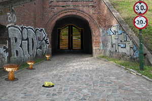 阴凉的森林逃脱