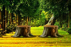 迷人的森林逃脱