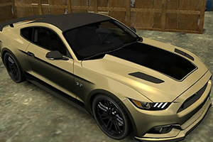 福特跑车找轮胎