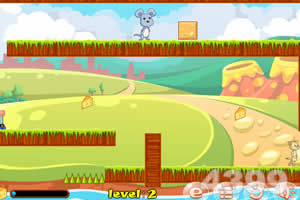 小小老鼠历险记