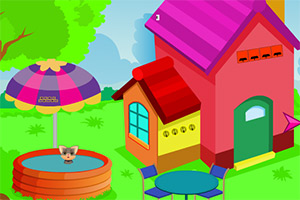 可爱的小猫救援