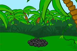 逃离亚马逊森林