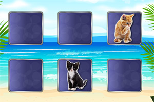 可爱的小猫记忆卡