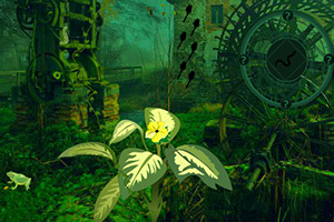 逃离孤立的森林