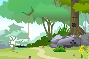 美丽的森林逃脱