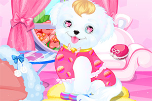 可爱的小狗沙龙