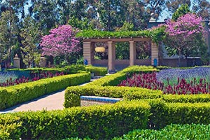 巴波亚公园逃脱