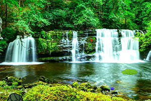 小白兔森林逃脱