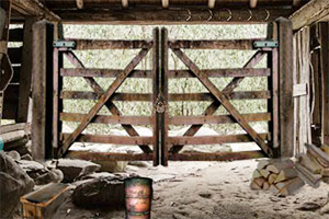 逃出老旧地下室