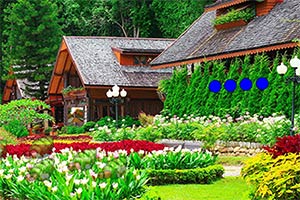 灌木森林别墅逃脱