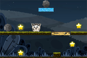 猫咪夜空找星星