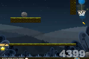 猫咪夜空找星星