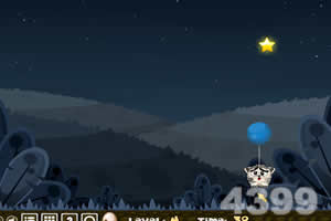 猫咪夜空找星星