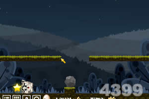 猫咪夜空找星星