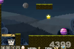 猫咪夜空找星星