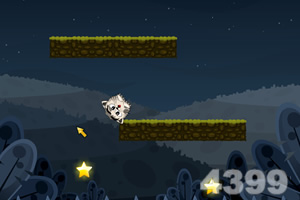 猫咪夜空找星星