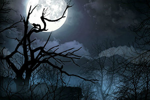 漆黑的夜找星星