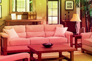 逃离美丽的房子