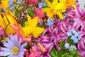 找到隐藏的花朵