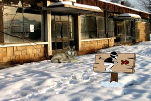 逃出废弃的滑雪场