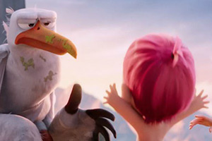 逗鸟外传找图片