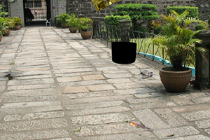 逃离废弃的庭院