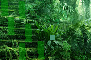 逃离废弃的玛雅森林