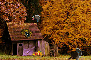 逃离土耳其神秘森林