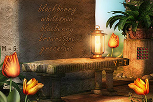 逃离神秘的花园