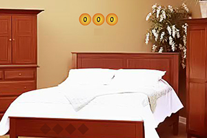 逃离豪华大房间