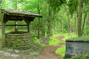 红树林宝藏逃生