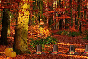 逃离感恩节秋季森林