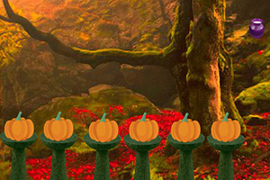 逃离土耳其瀑布森林