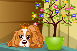 皇家宠物狗的逃跑计划