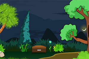 土耳其森林逃脱