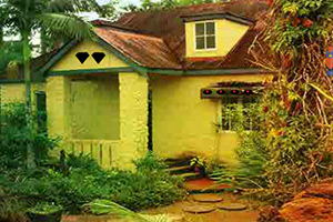 救援受困的波斯猫