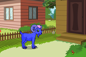 救援受困的山羊