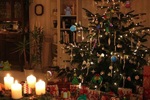 圣诞派对找物品