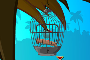 救援受困的杜鹃花