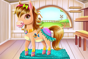 照顾可爱的小马宝宝