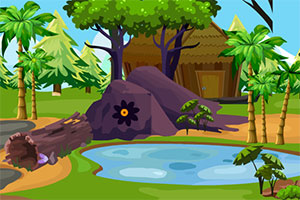 寻找兰花的足迹