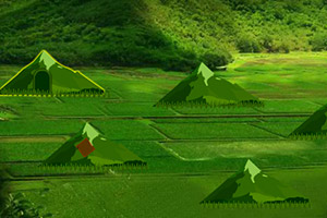 逃离绿油油的平原