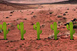 逃离阿拉伯沙漠