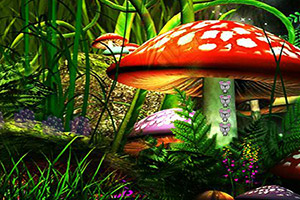 救援受困的小灰猫