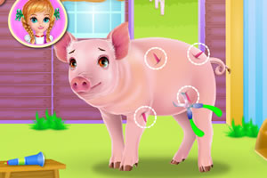 小猪的日常护理