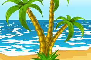 逃离神秘的岛屿