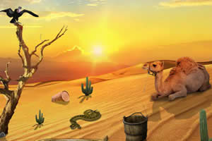 你能逃出沙漠吗